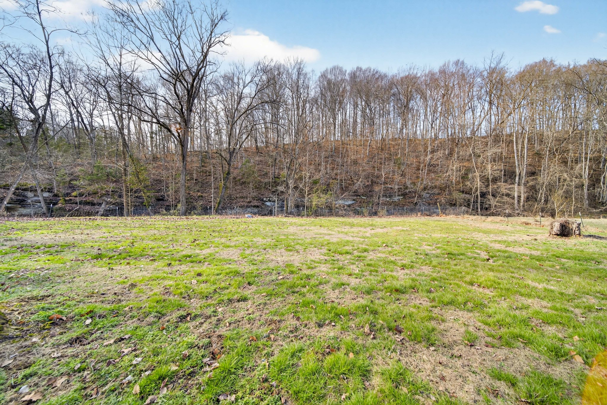 3332 Abednego Road Greenbrier, TN 37073 - Photo 30 of 86 a view of yard with tree