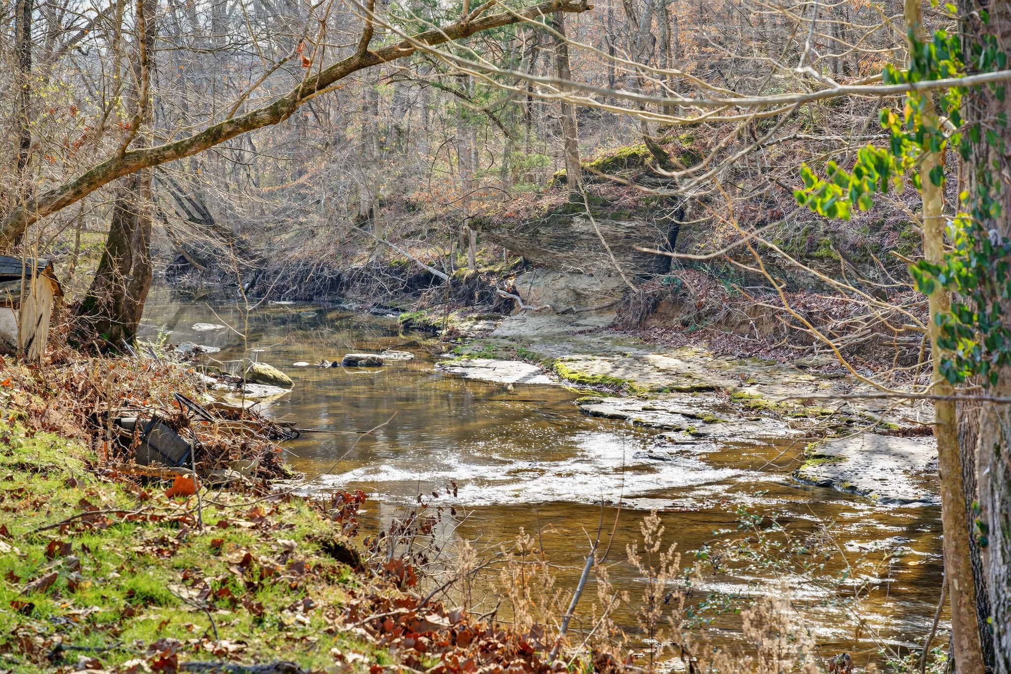 3332 Abednego Road Greenbrier, TN 37073 - Photo 5 of 86 a view of a yard