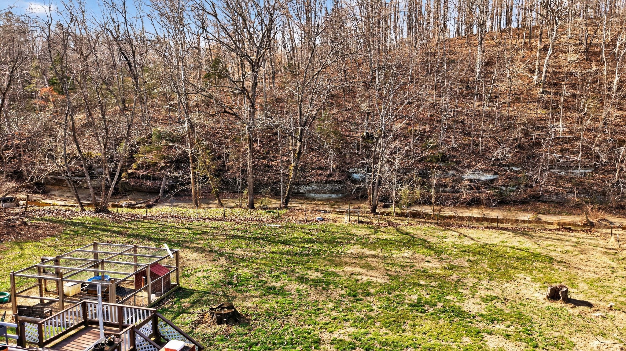 3332 Abednego Road Greenbrier, TN 37073 - Photo 82 of 86 a view of a yard with an trees