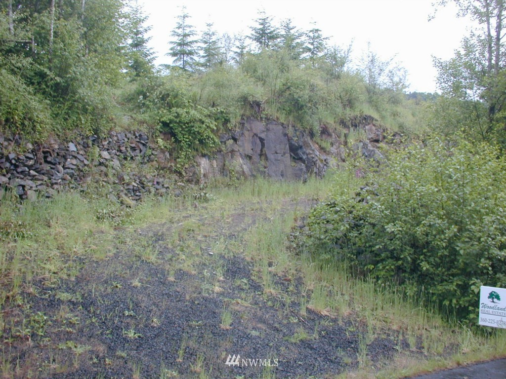 123 Bald Eagle Road Ariel, WA 98603 - Photo 1 of 15 Gallery Image 1