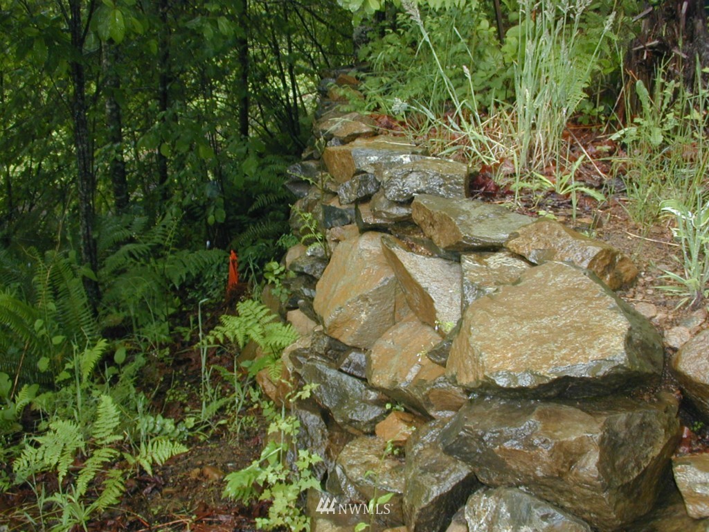 123 Bald Eagle Road Ariel, WA 98603 - Photo 14 of 15 Gallery Image 14