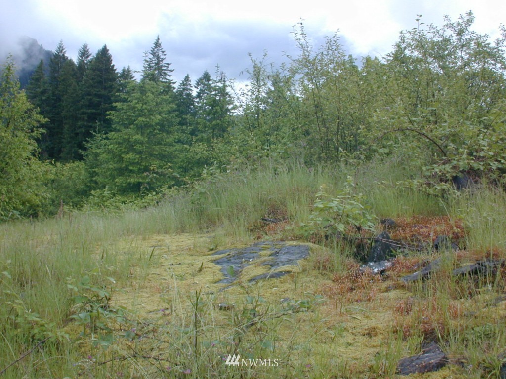 123 Bald Eagle Road Ariel, WA 98603 - Photo 3 of 15 Gallery Image 3