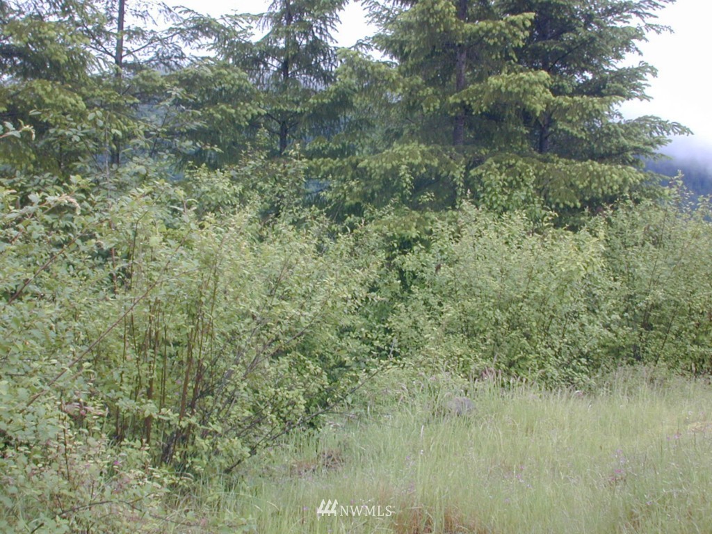 123 Bald Eagle Road Ariel, WA 98603 - Photo 7 of 15 Gallery Image 7