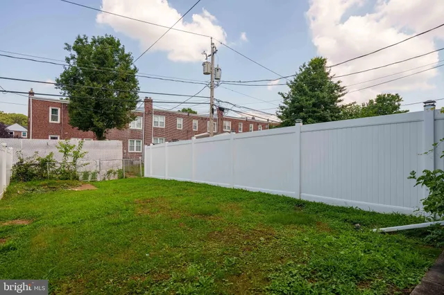 a view of a backyard with plants and a large tree