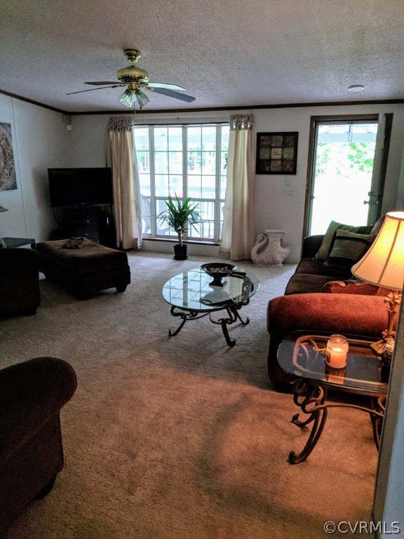 11172 Lawyers Road Prince George, VA 23875 - Photo 5 of 26 Gallery Image 5