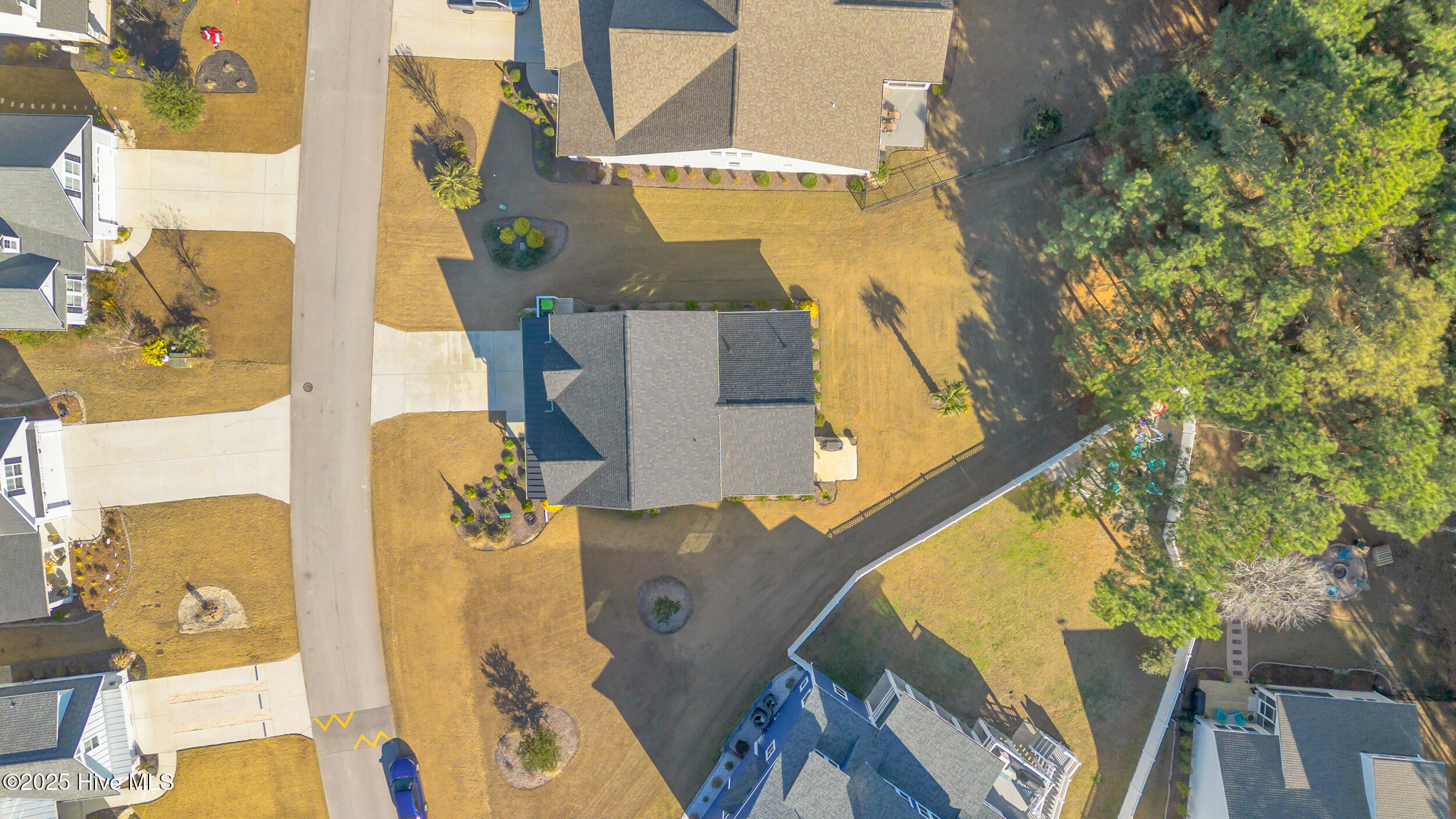 172 Everett Park Trail Holly Ridge, NC 28445 - Photo 60 of 84 172 everett park trail 00060