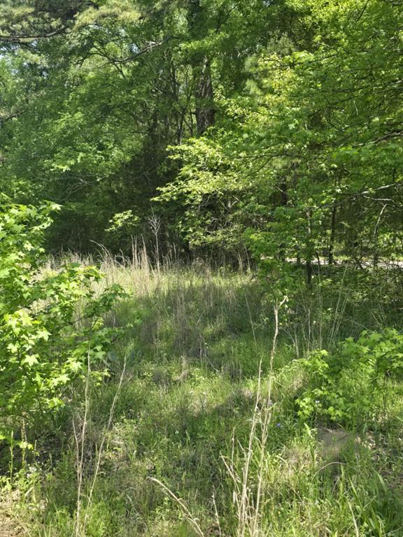 421 County Road 421 Tyler, TX 75704 - Photo 11 of 11