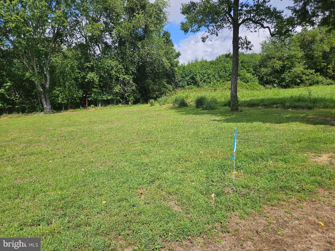 Johnsontown Road Chestertown, MD 21620 - Photo 12 of 14 a backyard of a house with lots of green space