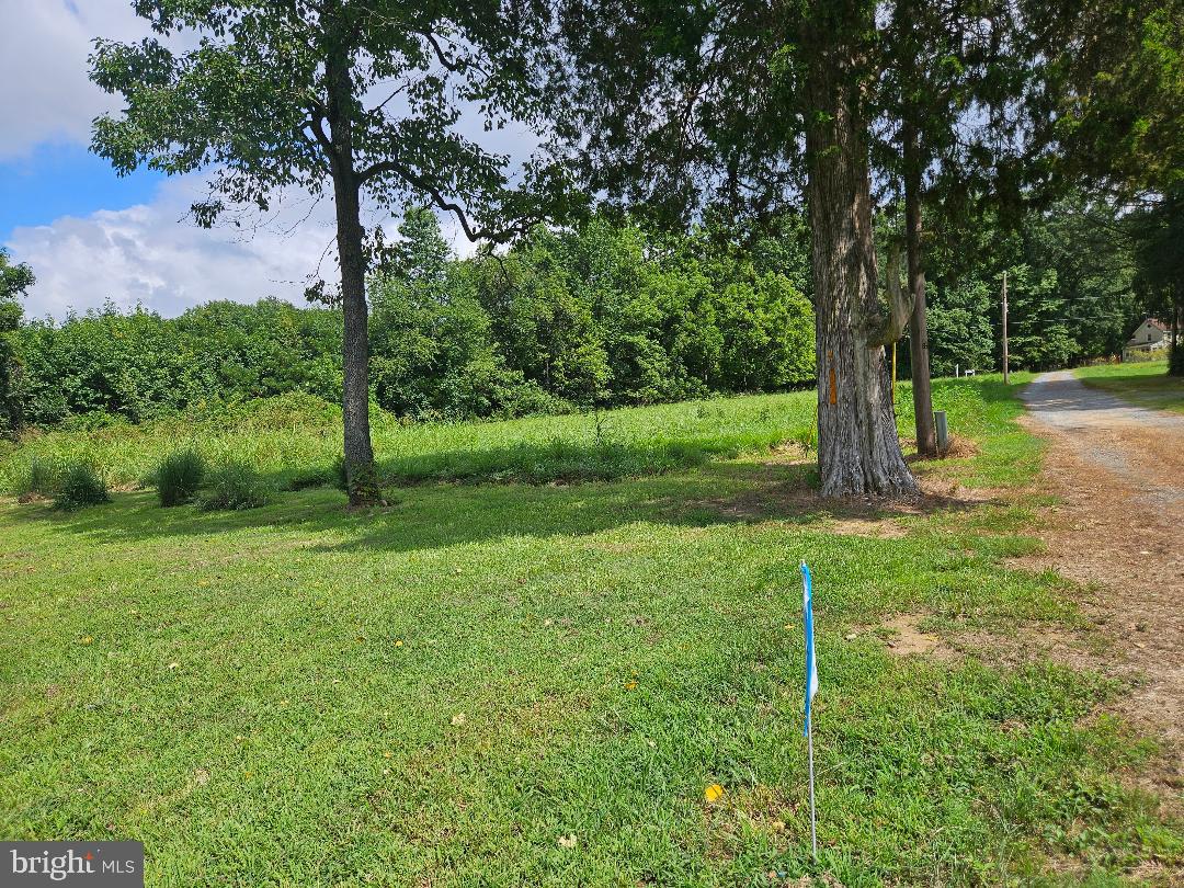 Johnsontown Road Chestertown, MD 21620 - Photo 13 of 14 a view of a backyard with large trees