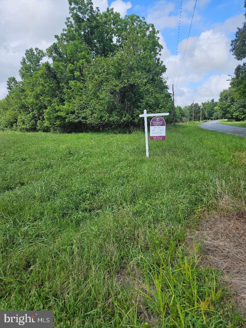 Johnsontown Road Chestertown, MD 21620 - Photo 2 of 14 a green field with lots of bushes