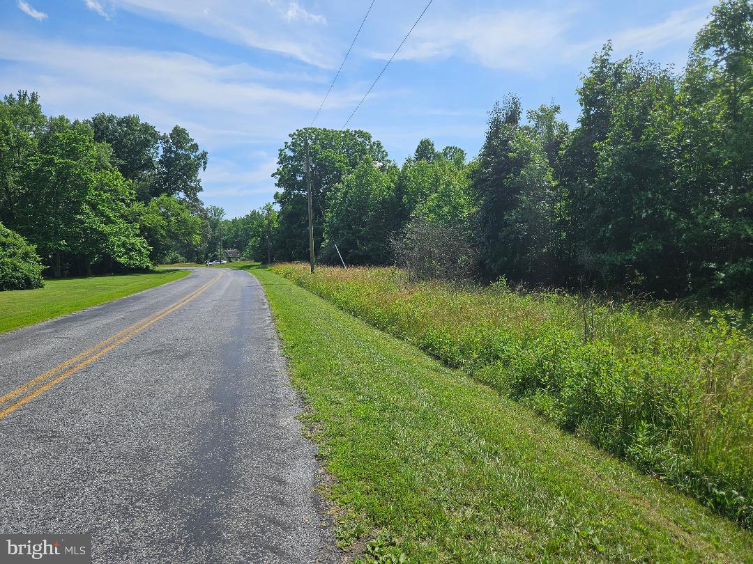 Johnsontown Road Chestertown, MD 21620 - Photo 6 of 14 a view of a road with a big yard