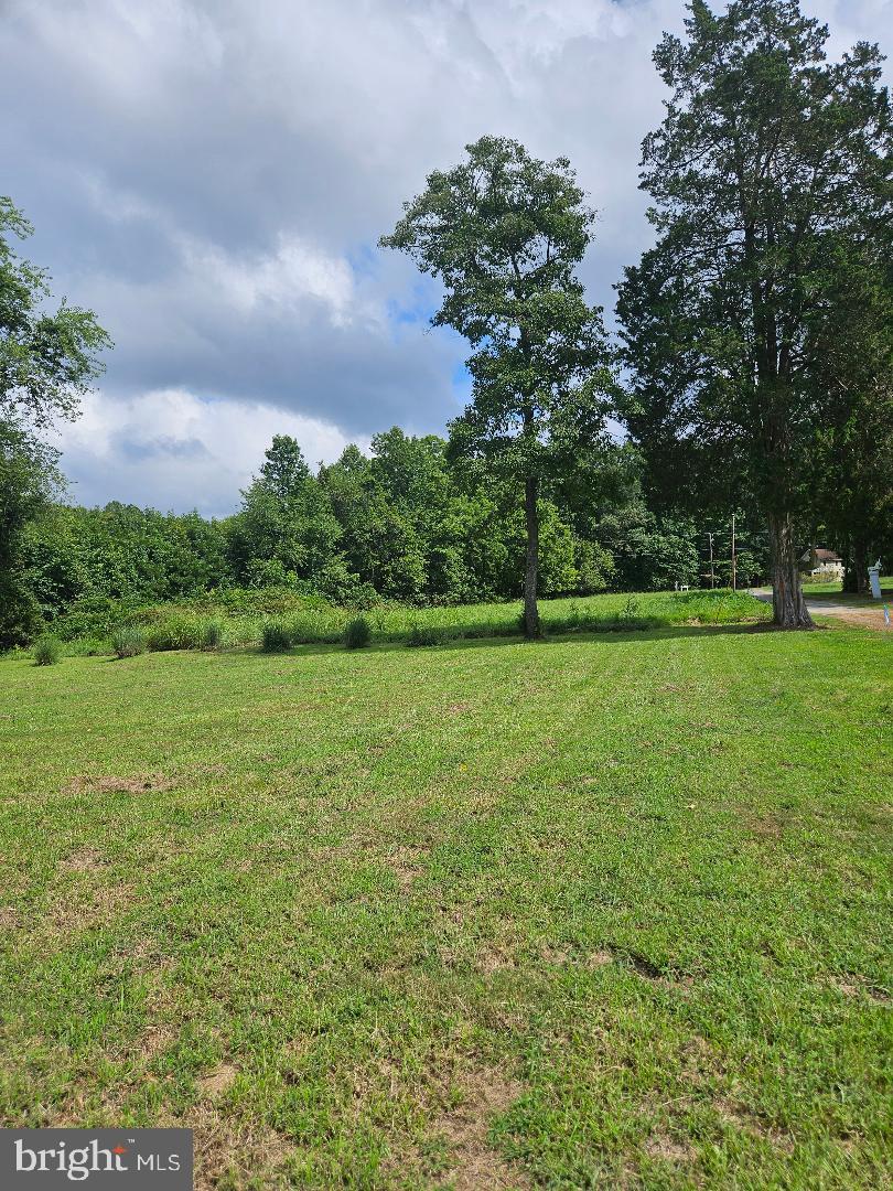 Johnsontown Road Chestertown, MD 21620 - Photo 9 of 14 a view of a field with an trees