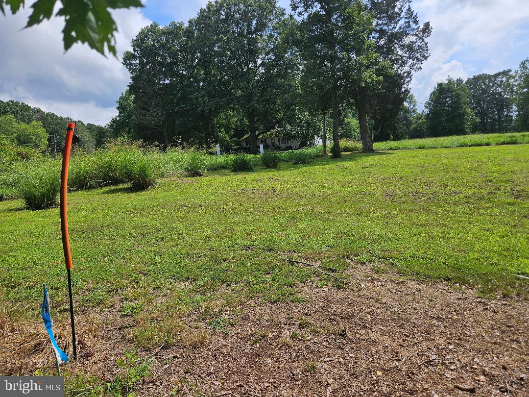 Johnsontown Road Chestertown, MD 21620 - Photo 10 of 14 a view of a grassy field with trees