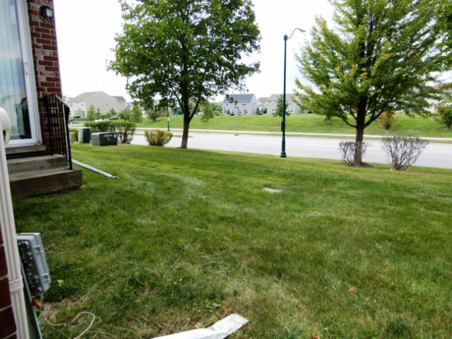 82 Stephens Matteson, IL 60443 - Photo 7 of 9 a view of a park with large trees