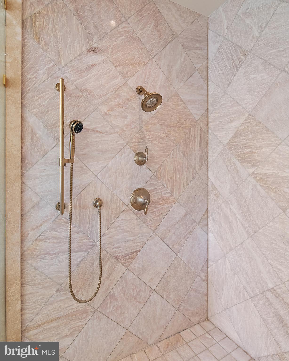 8 Spa View Circle Annapolis, MD 21401 - Photo 66 of 98 Luxe Primary Bathroom