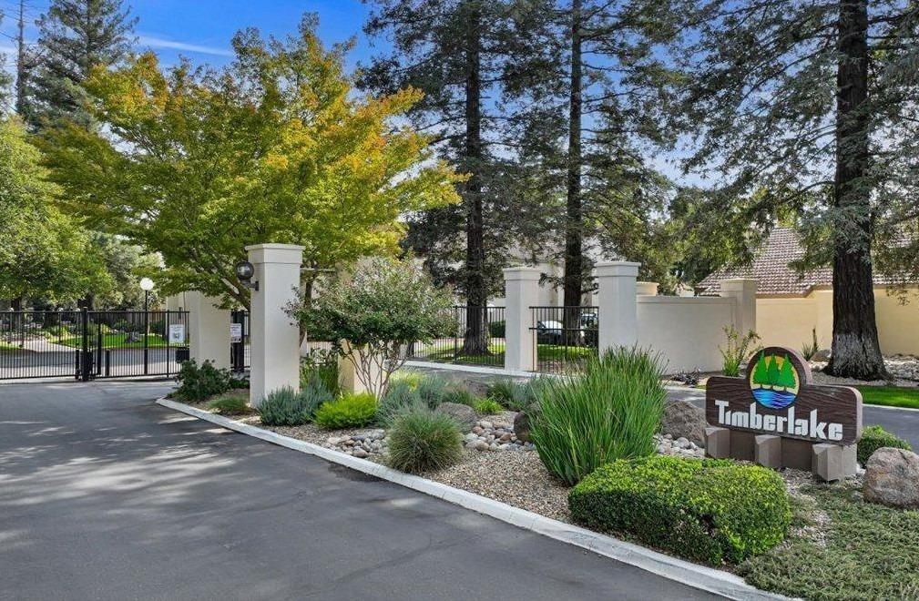a view of a garden with plants