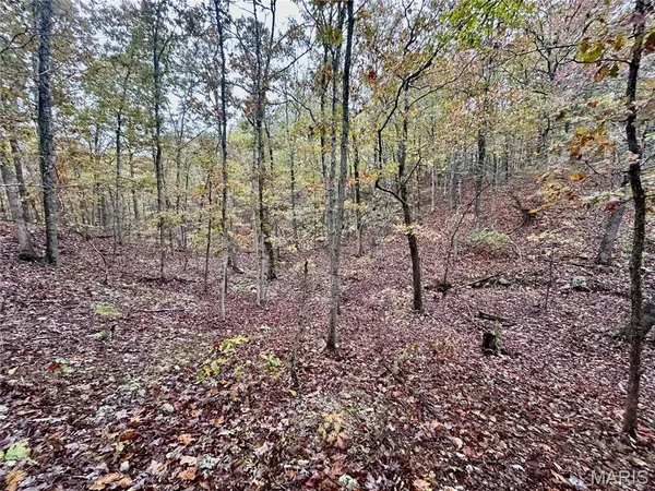 $61,900 | 3 County Road 4215, Salem, MO 65560