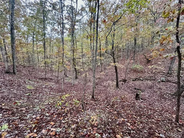 $64,900 | 3 County Road 4215, Salem, MO 65560