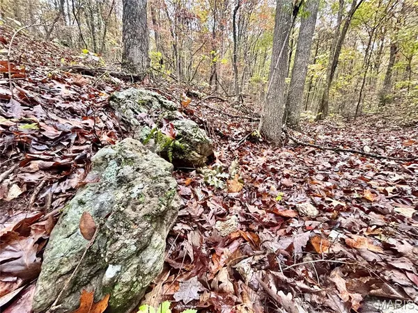 $61,900 | 3 County Road 4215, Salem, MO 65560