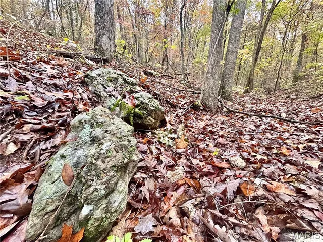 $64,900 | 3 County Road 4215, Salem, MO 65560