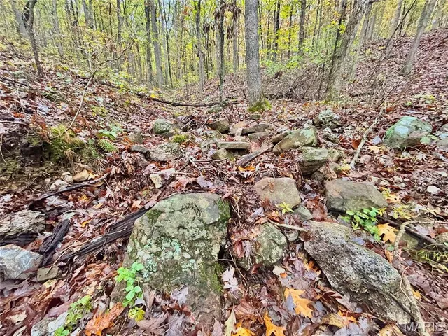 $64,900 | 3 County Road 4215, Salem, MO 65560