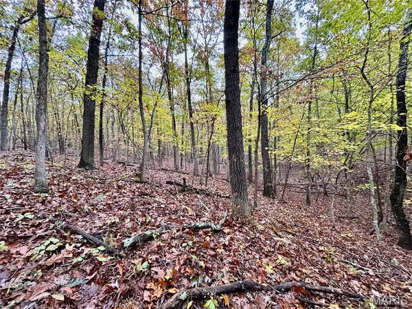 $61,900 | 3 County Road 4215, Salem, MO 65560