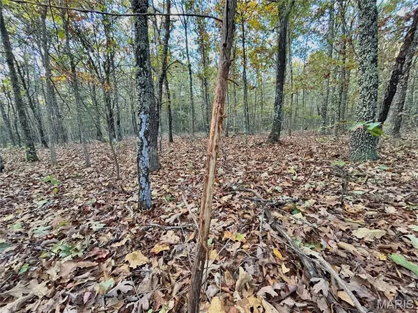 $61,900 | 3 County Road 4215, Salem, MO 65560