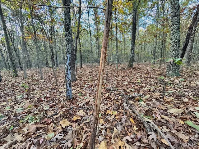 $64,900 | 3 County Road 4215, Salem, MO 65560