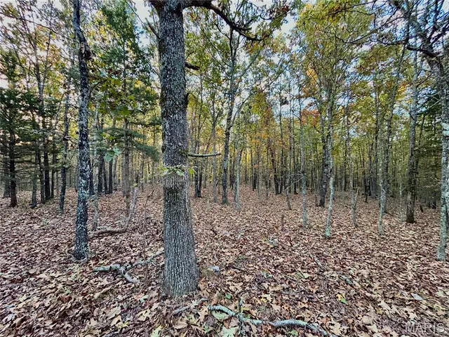 $64,900 | 3 County Road 4215, Salem, MO 65560