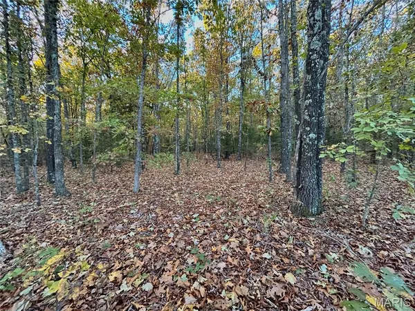 $61,900 | 3 County Road 4215, Salem, MO 65560