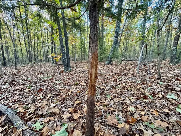 $61,900 | 3 County Road 4215, Salem, MO 65560