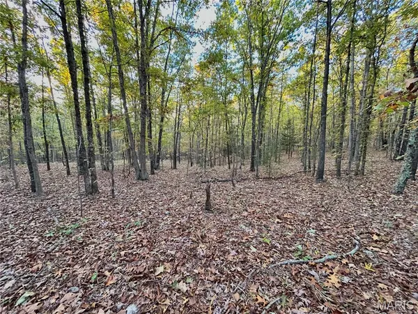 $61,900 | 3 County Road 4215, Salem, MO 65560