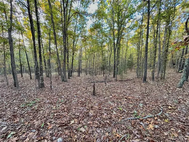 $64,900 | 3 County Road 4215, Salem, MO 65560