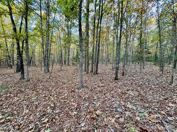 $61,900 | 3 County Road 4215, Salem, MO 65560