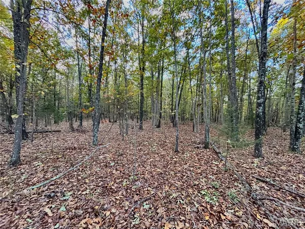 $61,900 | 3 County Road 4215, Salem, MO 65560