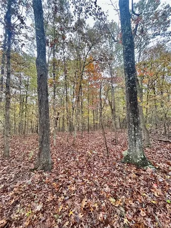 $61,900 | 3 County Road 4215, Salem, MO 65560