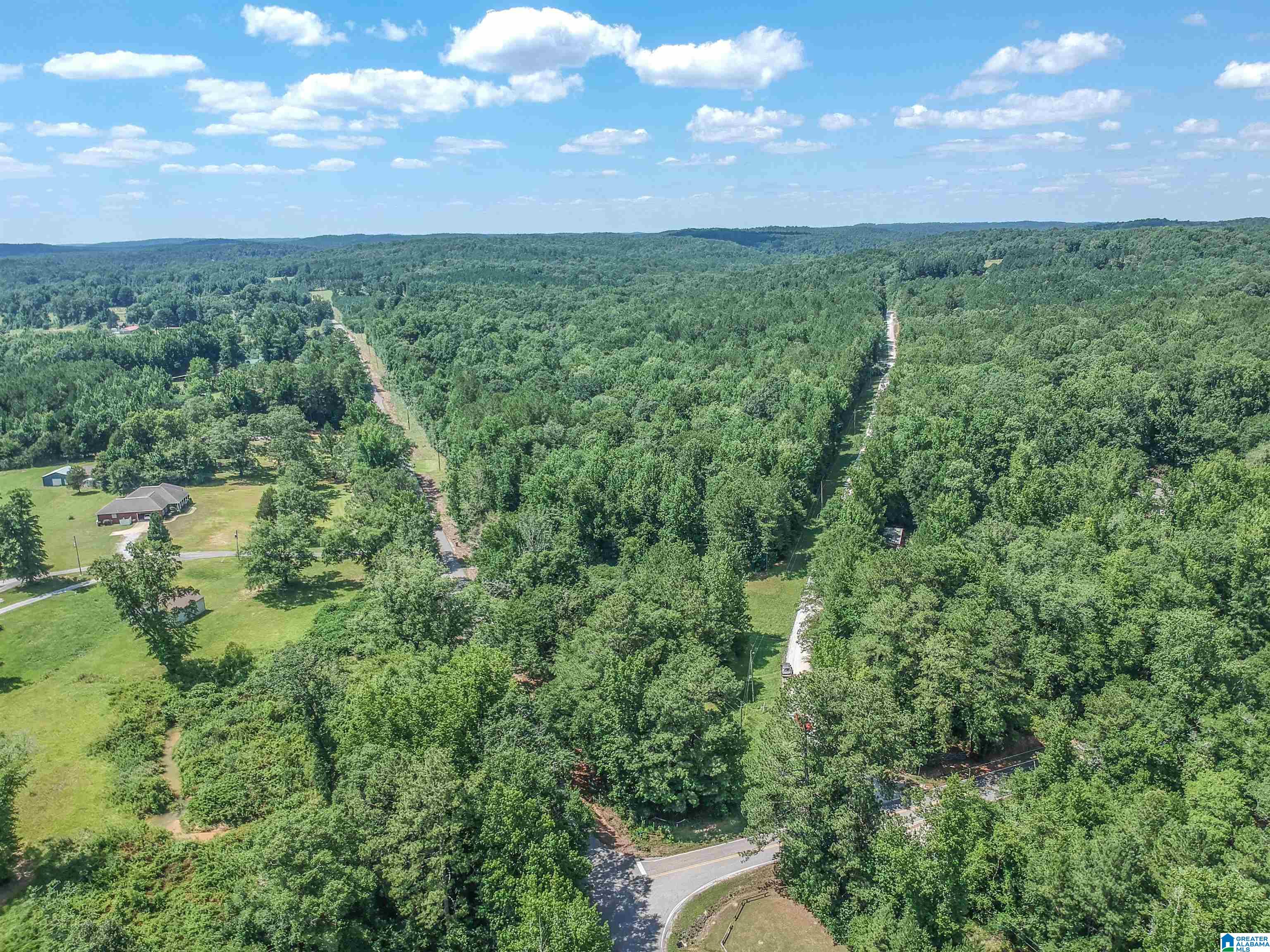 0 Upper Columbus Road Coker, AL 35452 - Photo 13 of 15