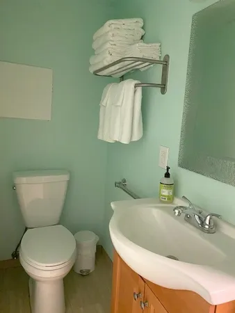 a bathroom with a sink and a toilet