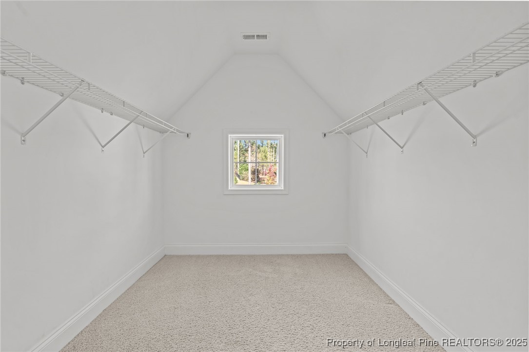 335 Parrish Lane Carthage, NC 28327 - Photo 35 of 50