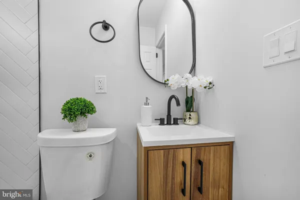 a bathroom with a sink a mirror and a potted plant