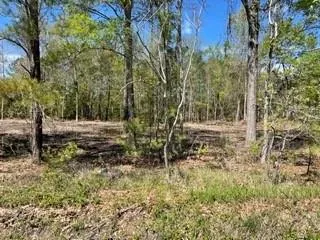 $315,000 | 0 Carroll Street, Mandeville, LA 70448