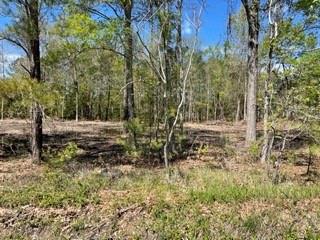 0 Carroll Street Mandeville, LA 70448 - Photo 2 of 5