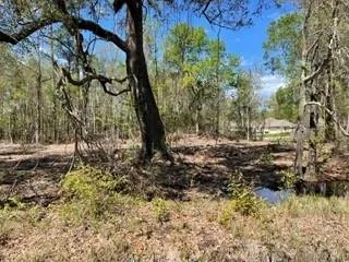 $315,000 | 0 Carroll Street, Mandeville, LA 70448