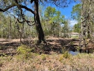 0 Carroll Street Mandeville, LA 70448 - Photo 3 of 5