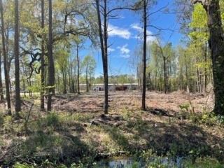 0 Carroll Street Mandeville, LA 70448 - Photo 4 of 5