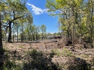 0 Carroll Street Mandeville, LA 70448 - Photo 5 of 5