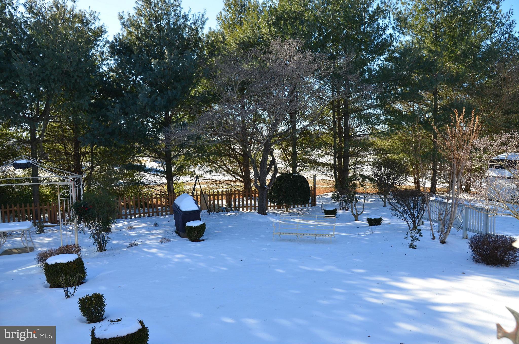 407 Lincoln Road Middleburg, VA 20117 - Photo 13 of 14 Backyard