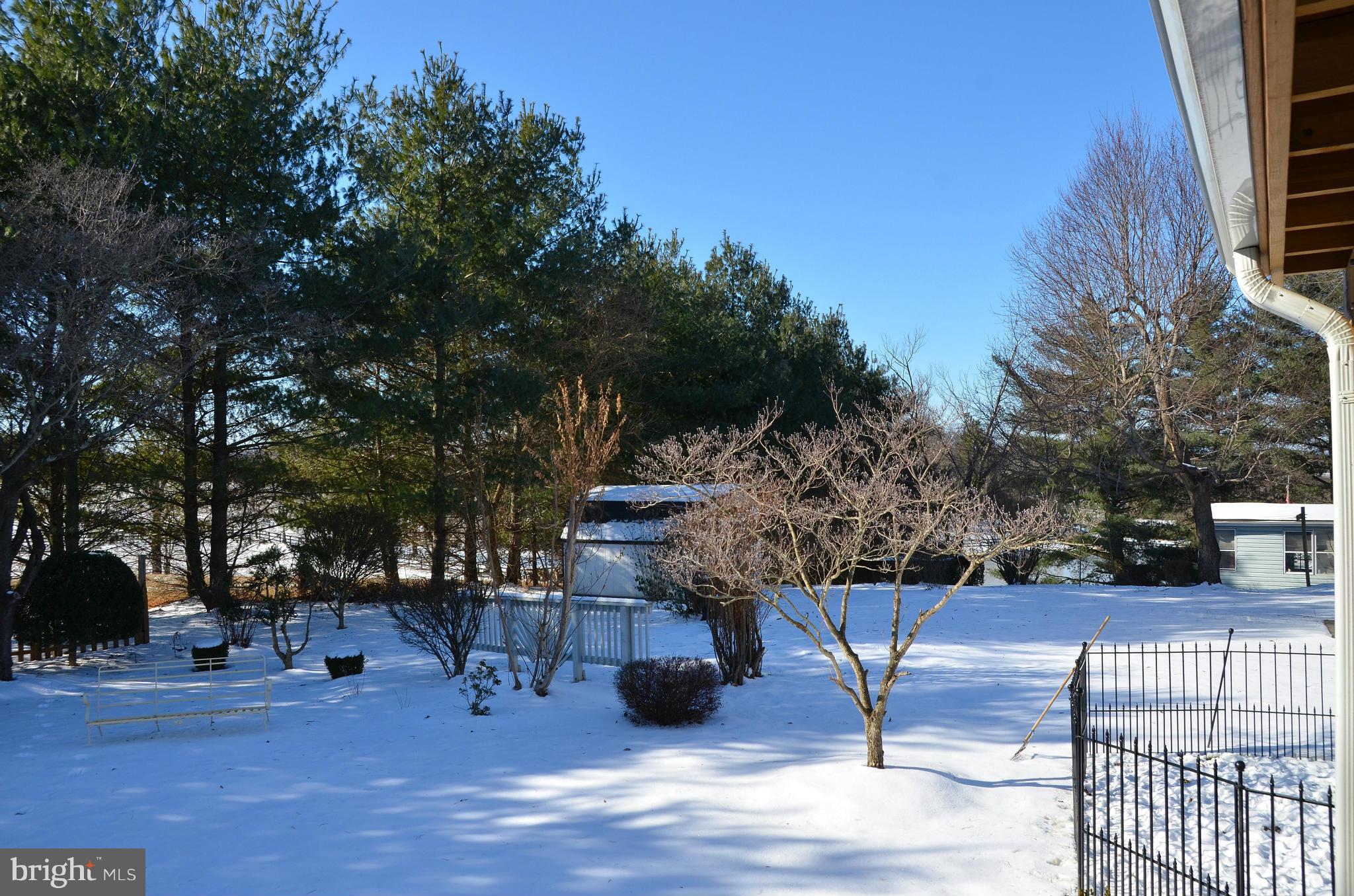 407 Lincoln Road Middleburg, VA 20117 - Photo 14 of 14 Yard