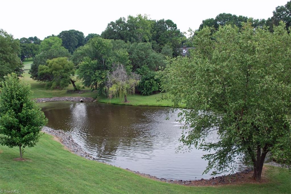 133 Pembrooke Ridge Court Bermuda Run, NC 27006 - Photo 28 of 30 Gallery Image 28