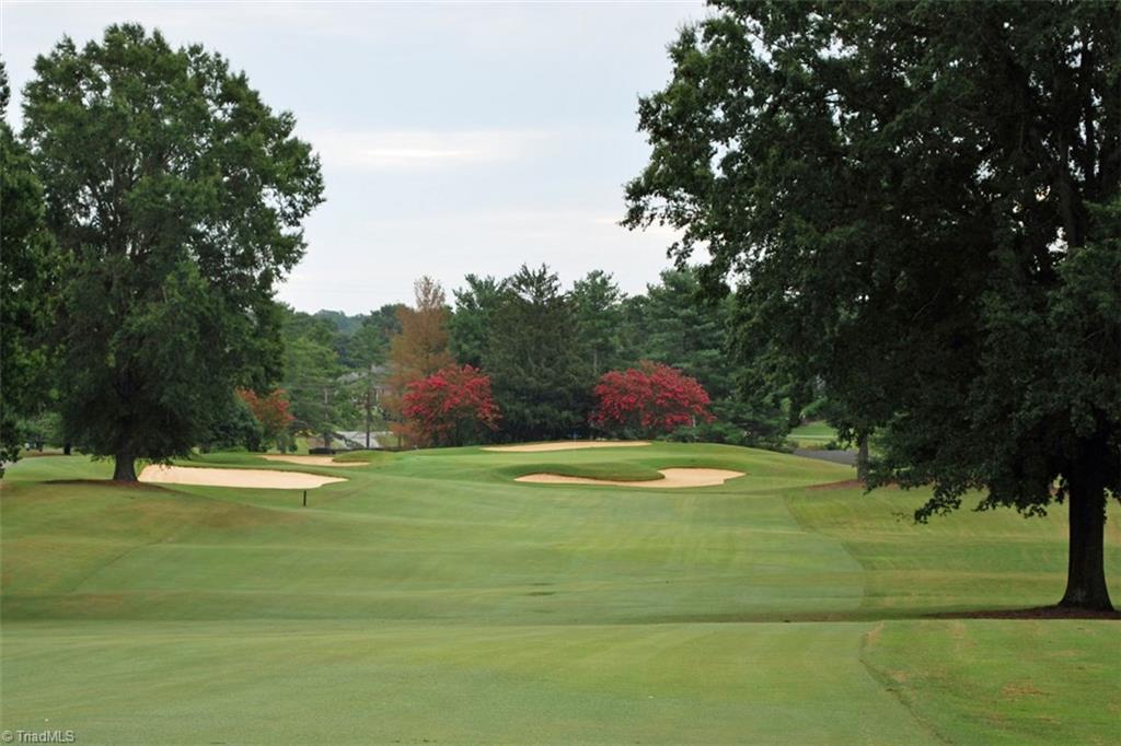 133 Pembrooke Ridge Court Bermuda Run, NC 27006 - Photo 30 of 30 Gallery Image 30